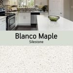 Blanco Maple